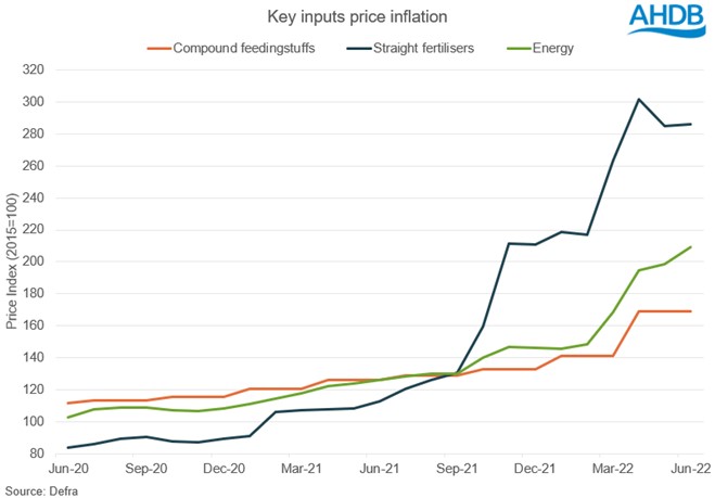 line graph showing the rate of inflation in key agri inputs